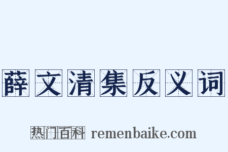 薛文清集反义词是什么意思的图片